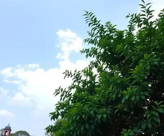 melhor celular com câmera de 200 MP